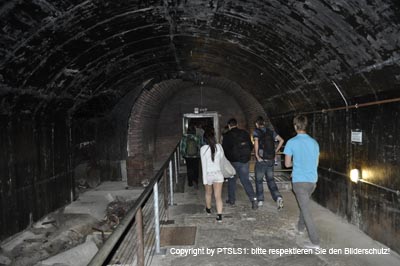 _DSC0810