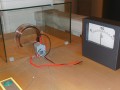 Bild_19
