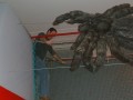 Bild_28